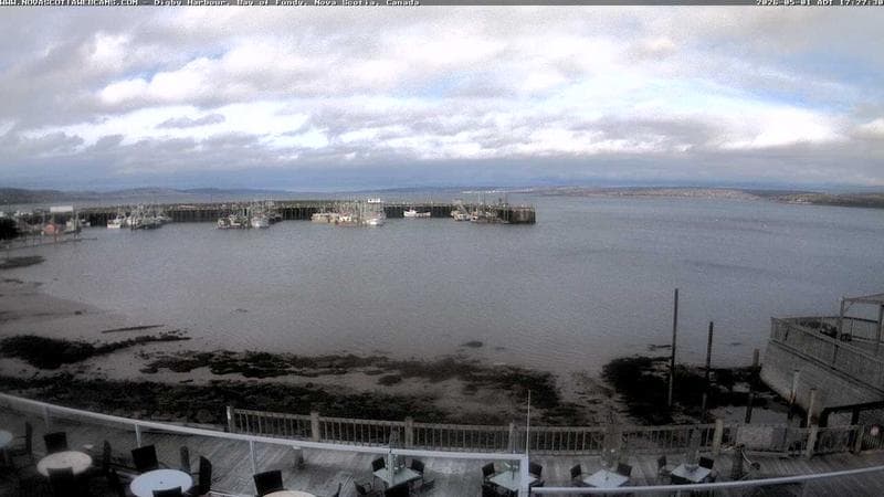 Digby Harbour