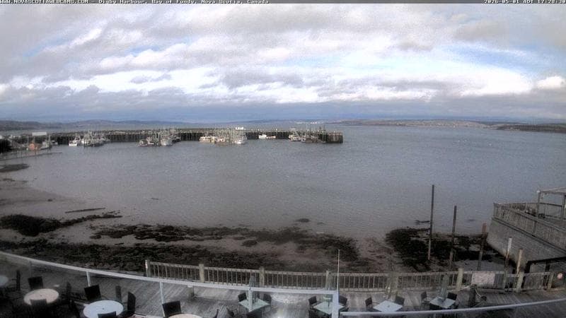 Digby Harbour