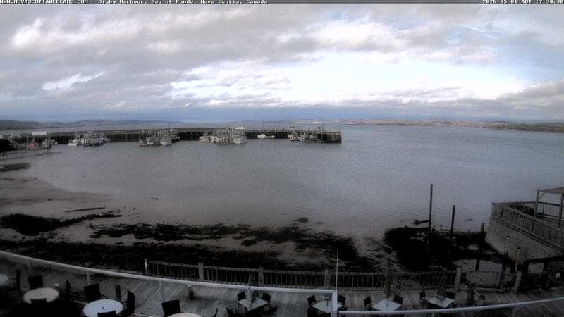 Digby Harbour