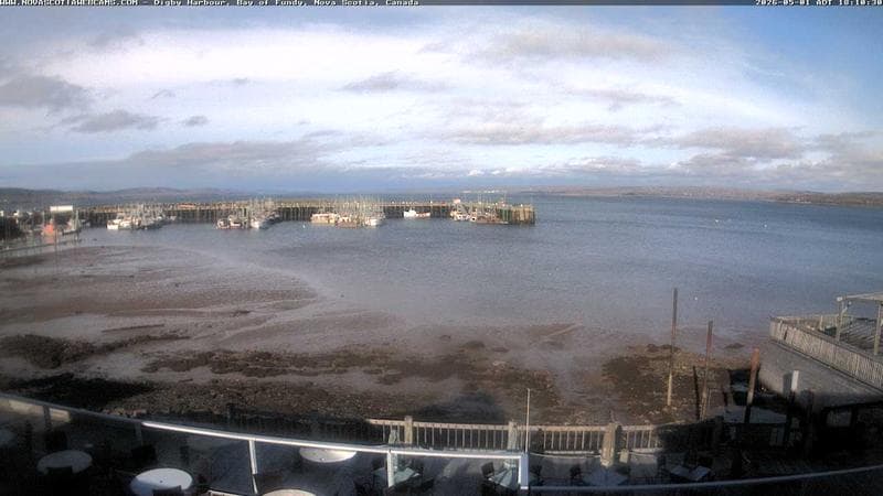 Digby Harbour