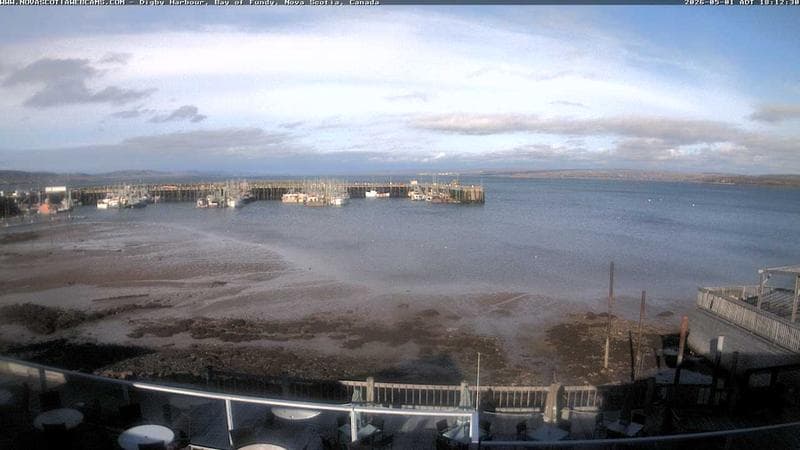 Digby Harbour