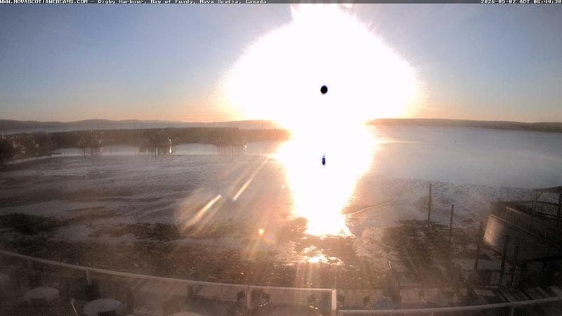 Digby Harbour