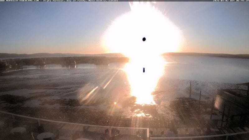 Digby Harbour