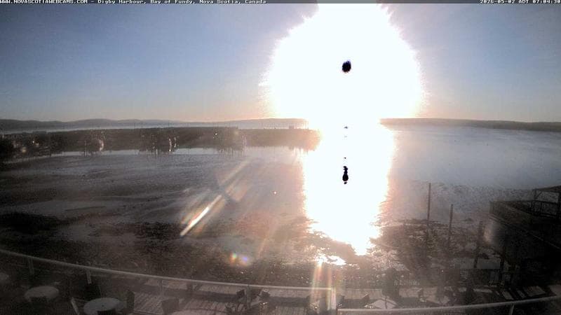 Digby Harbour