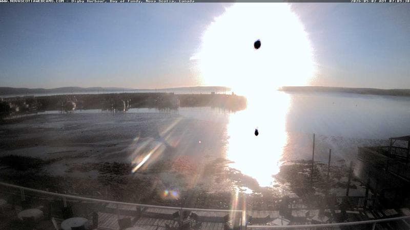 Digby Harbour