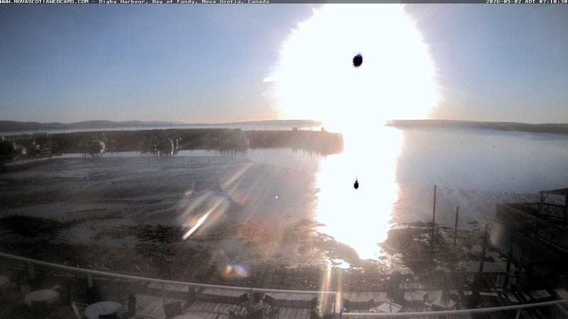 Digby Harbour
