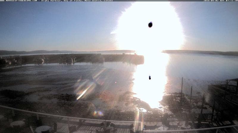 Digby Harbour
