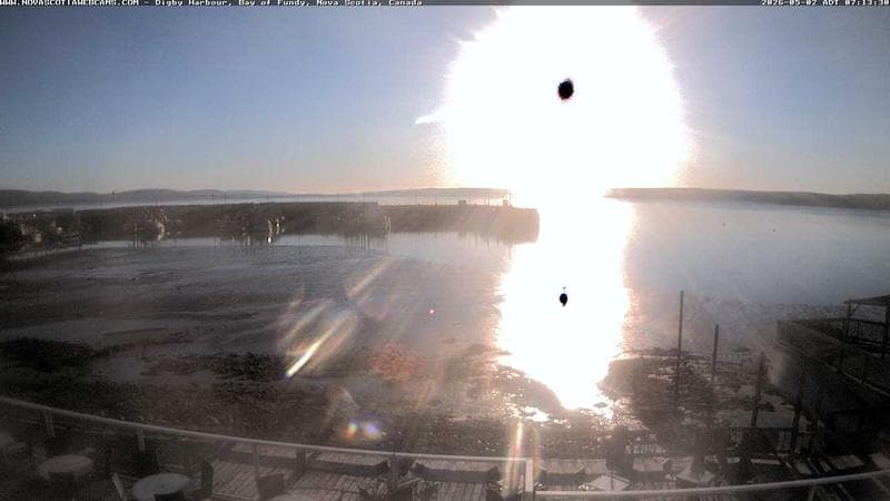 Digby Harbour