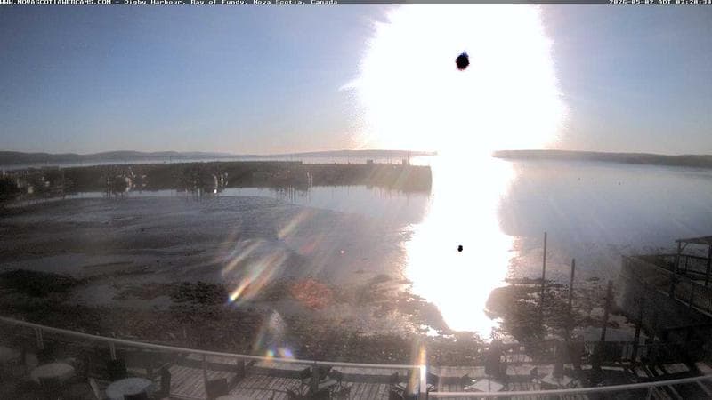 Digby Harbour