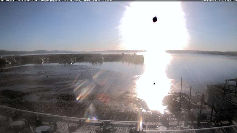 Digby Harbour
