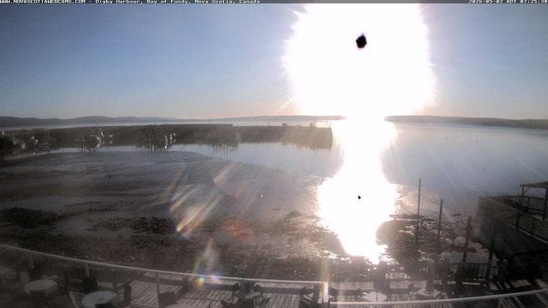 Digby Harbour