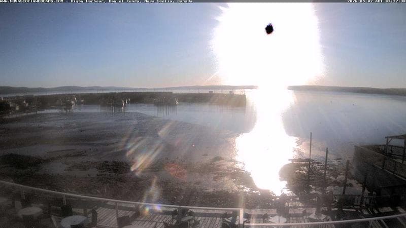 Digby Harbour