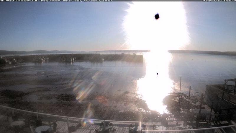 Digby Harbour