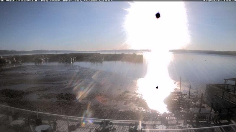 Digby Harbour