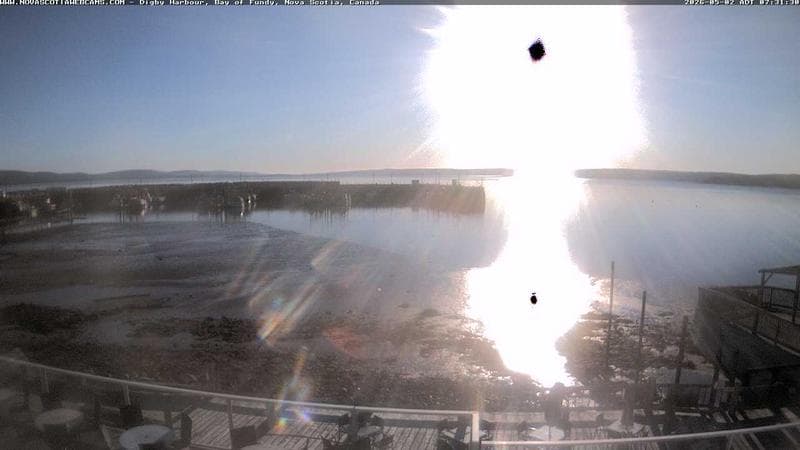 Digby Harbour