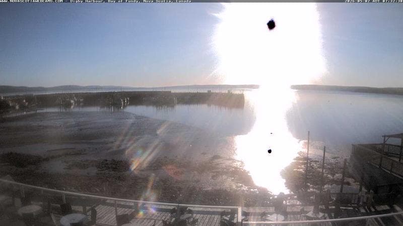 Digby Harbour
