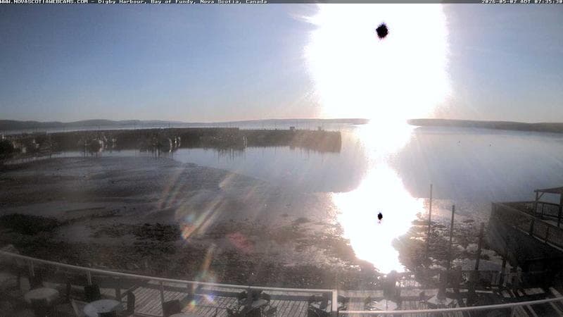 Digby Harbour