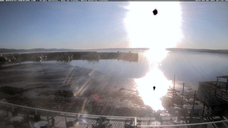 Digby Harbour