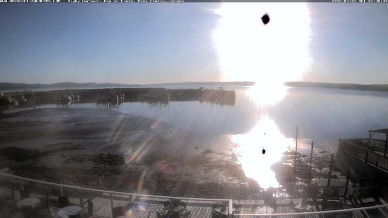 Digby Harbour