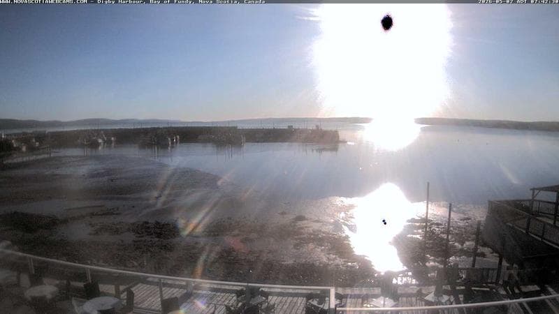 Digby Harbour