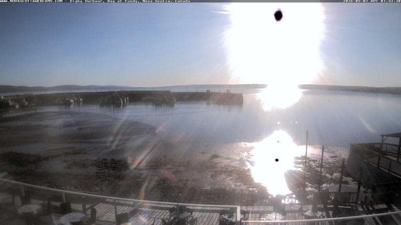 Digby Harbour