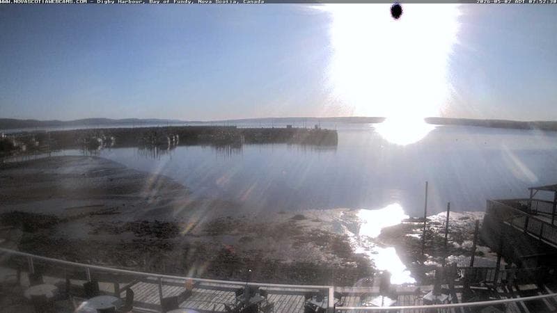 Digby Harbour