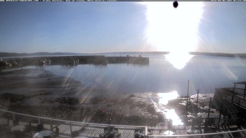 Digby Harbour