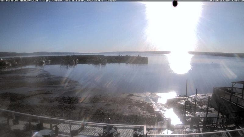 Digby Harbour