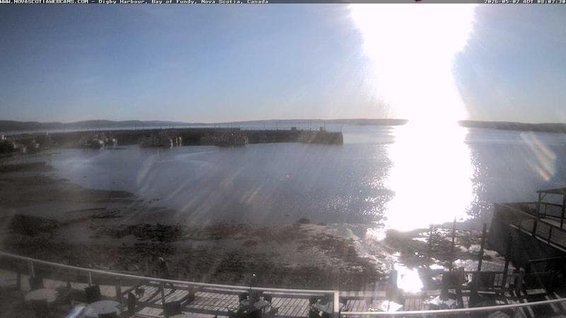 Digby Harbour