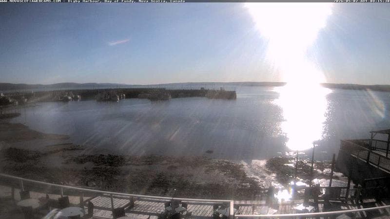 Digby Harbour