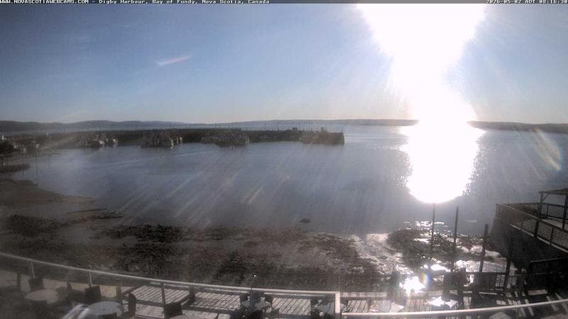 Digby Harbour
