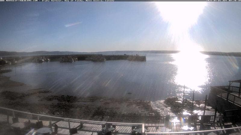 Digby Harbour