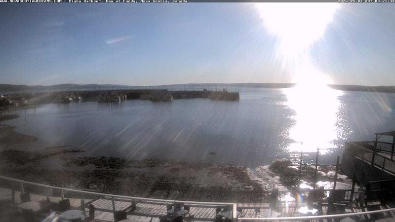 Digby Harbour