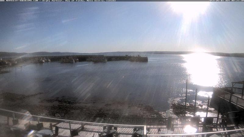 Digby Harbour