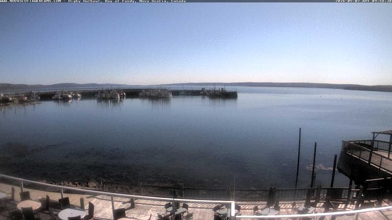 Digby Harbour