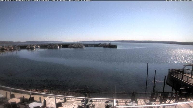 Digby Harbour