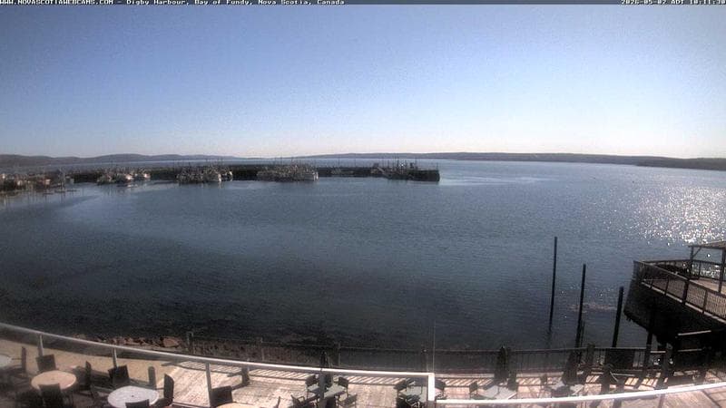 Digby Harbour