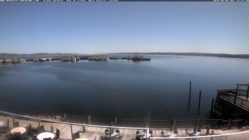 Digby Harbour