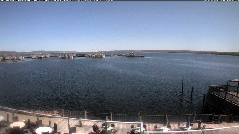 Digby Harbour