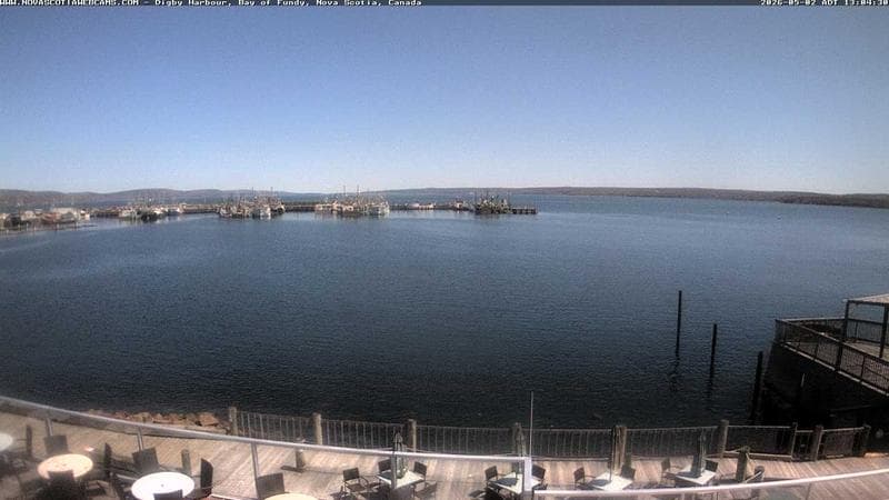Digby Harbour