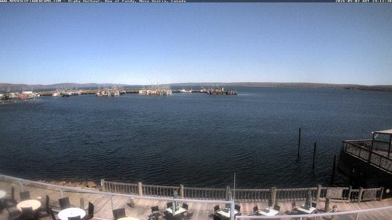 Digby Harbour