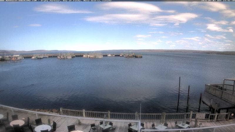 Digby Harbour