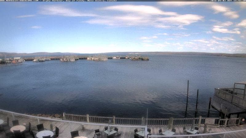 Digby Harbour