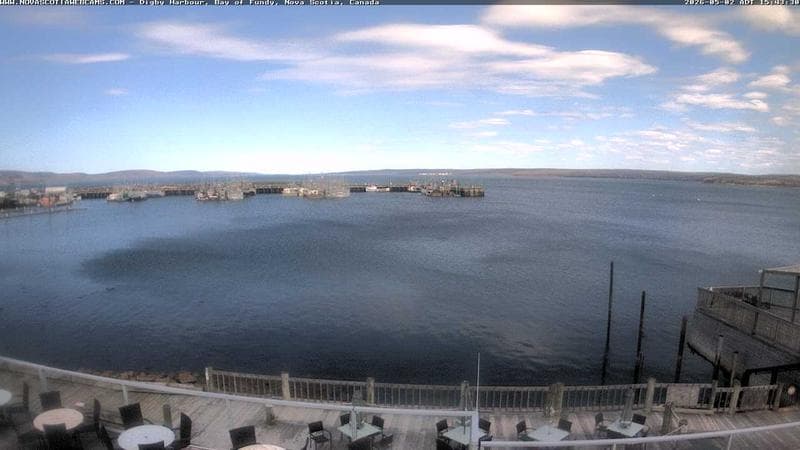 Digby Harbour