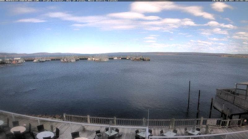 Digby Harbour