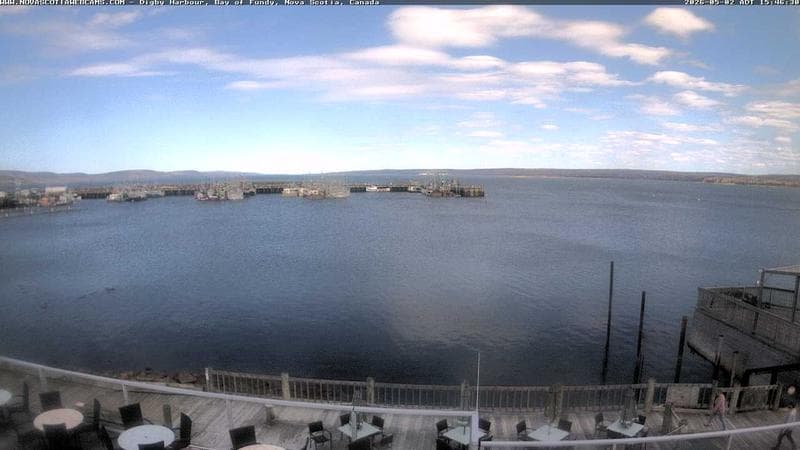 Digby Harbour