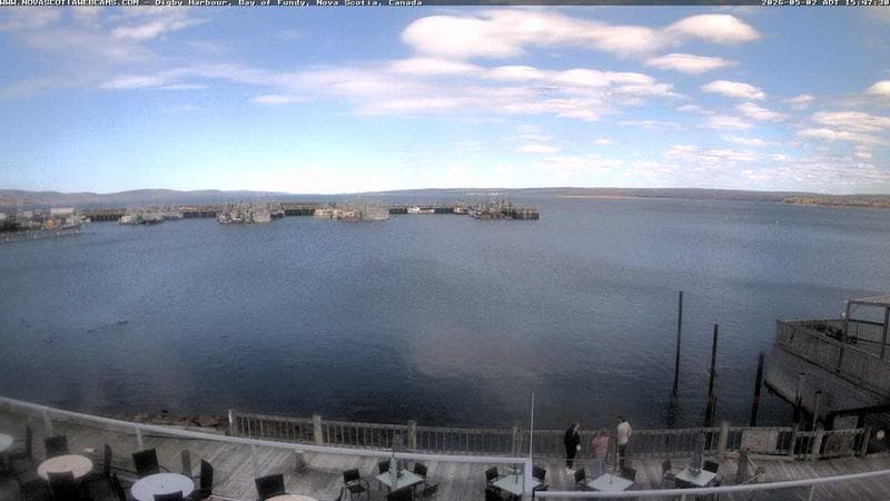 Digby Harbour