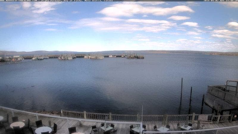 Digby Harbour