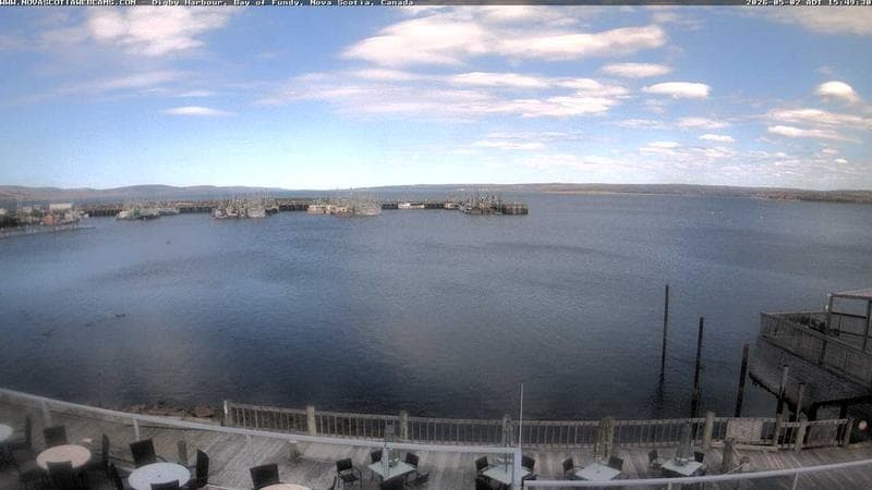 Digby Harbour