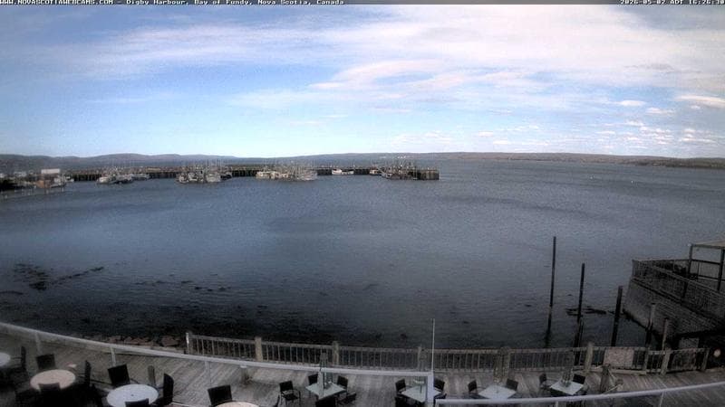 Digby Harbour